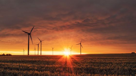 En Brasil, el recorte de solar y eólica ya no es un problema de líneas: 68,6 % fue por sobreoferta