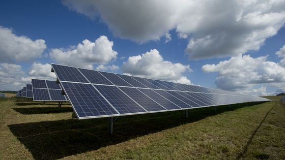 San Martín Solar midió 778,0 GWh en su primer año completo: un factor de planta de 35,19 % sobre 252,4 MW
